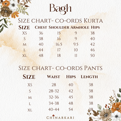 Bagh Gulab Cotton Co-ord Set